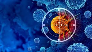 Breast Cancer Research Project